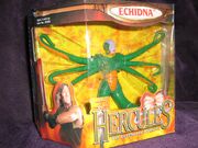 Echidna figure 01