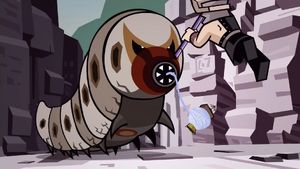 Rock Caterpillar King 009