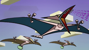 Pterodactyls