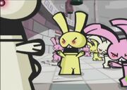 Rabbits2