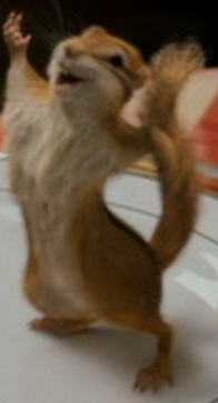 Pip