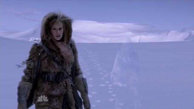 File:1x03 Malina.jpg