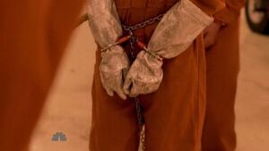 Tracy glove