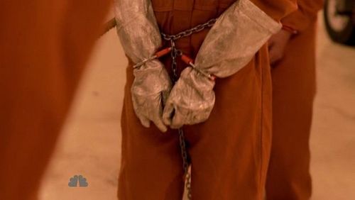 Tracy glove