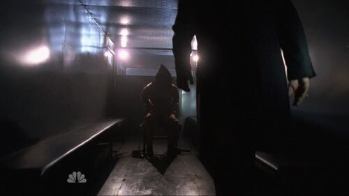 Hooded tracy 11