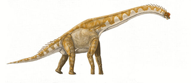 File:Giraffatitan DB.jpg