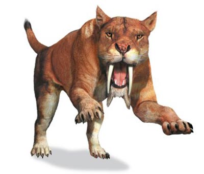 File:Saber-toothed cat.jpg