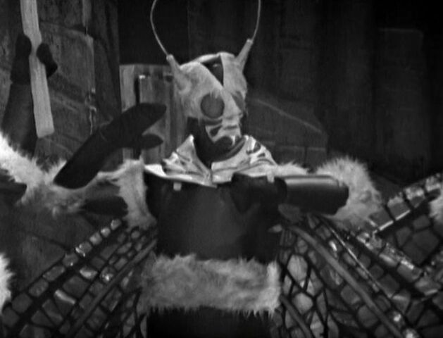 File:Menoptera.jpg