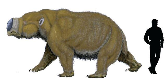 File:Diprotodon.jpg