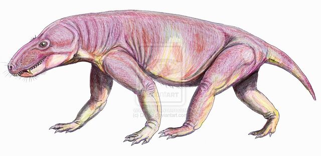 File:Glanosuchus by DiBgd.jpg