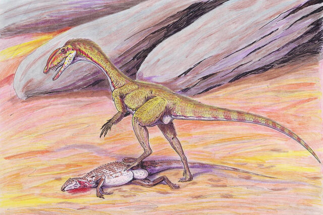 File:Megapnosaurus DB.jpg