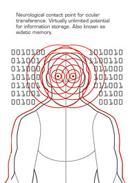 File:Enhanced Memory.jpg