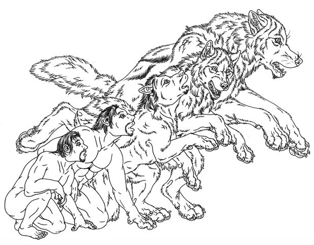 File:Wolf45.jpg