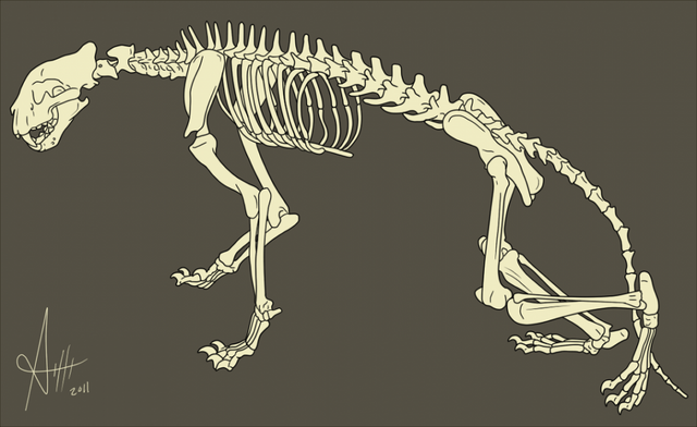 File:Amusedinsanity-38126-e6648.png