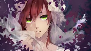 Aoshiki