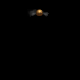 Sni