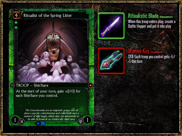 File:RitualistOfTheS Equipment.png
