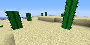 Vanilla - Cactus