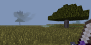 Savanna with acacia tree