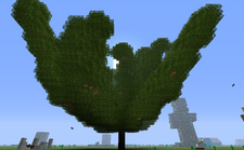 Oak Log Trees