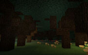Dark-wood-twilight-forest-minecraft-maoucraft