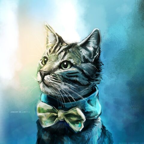 File:Cat.jpg