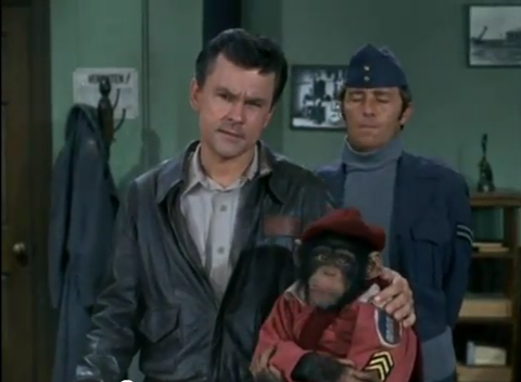 File:Zmonkey8.PNG