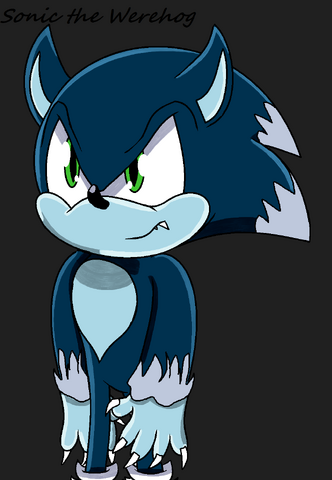 File:Sonic the Werehog.png