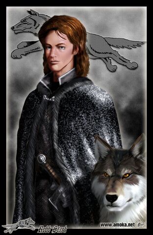 Archivo:Robb-Stark-by-Amoka.jpg