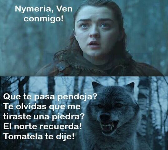 Archivo:Nymer.jpg