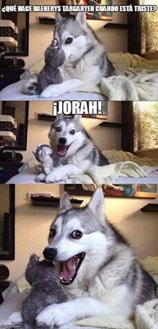 Archivo:Jorah.jpg