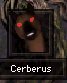 Cerberus3