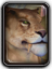 Icon kurashasa male