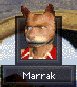 Marrak