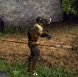 Boarman