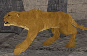Nwnlion