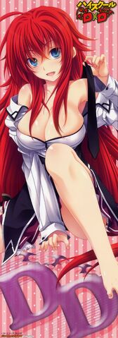 File:Cleavage highschool dxd miyama-zero rias gremory stick poster.jpg