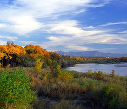 Rio Grande.jpg