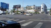 Koval and Flamingo