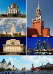 MSK Collage 2015