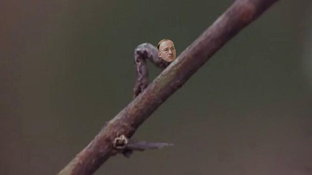 File:Himmler the Worm.jpg
