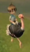 Tot ostrich
