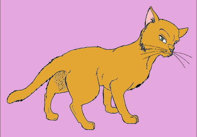 File:Browncat.png