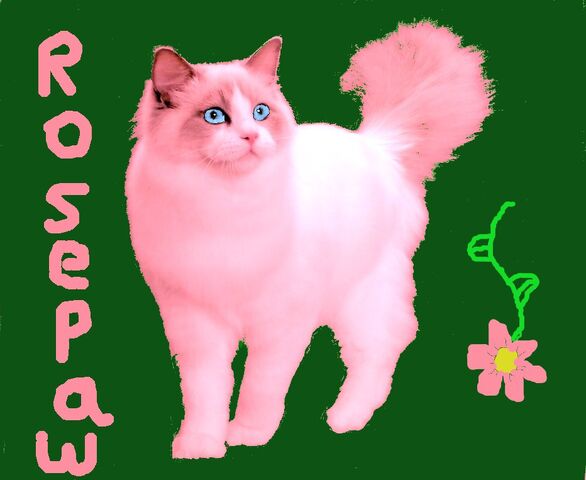File:Rosepaw2.jpg