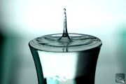 Zen Water
