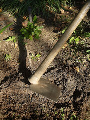 Sharecroppers' Hoe