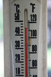 It's Hot!
