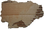 10 cardboard rough 03