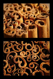 Cannelle