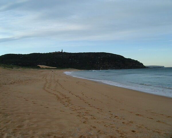 File:Summer Bay Beach-flickr33638092.jpg